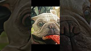 Quicksilver Saved Everyone