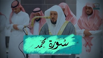تلاوة خاشعة للشيخ د.ماهر المعيقلي من سورة محمد صلاة العشاء ١١ شعبان ١٤٤٦ هـ