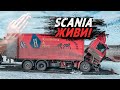 УДЕЛЯЮ ВНИМАНИЕ СТАРУШКЕ SCANIA. Замена подвесного и не только. Ремонт СКАНИЯ 93