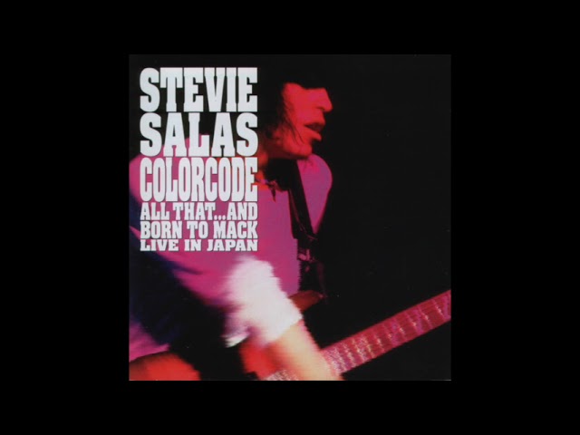 Stevie Salas - Stevie Salas Colorcode (Full Album) (1990) - YouTube