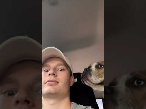 Shelter Dog Was Returned Again and Again Until One Guy Stepped In | The Dodo