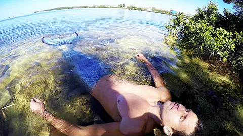 Real Life Merman footage at mangroves beach HD
