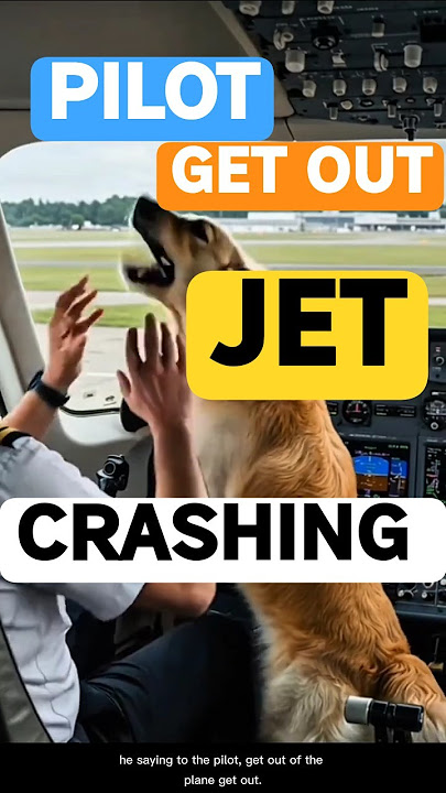 Intelligent Dog Saves Lives: The Incredible Jet Rescue Story #shorts #shortvideo #short #ai