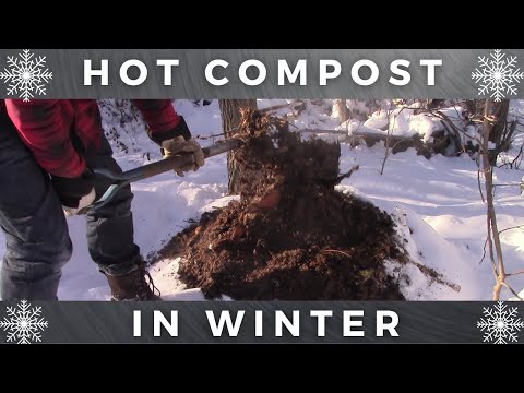 Video: Compost in de winter - Tips voor composteren in de winter