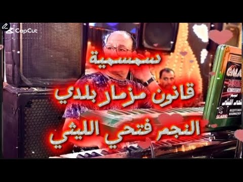النجم فتحي الليثي سمسمية و قانون ومزمار بلدي رايقين أسمع وروق