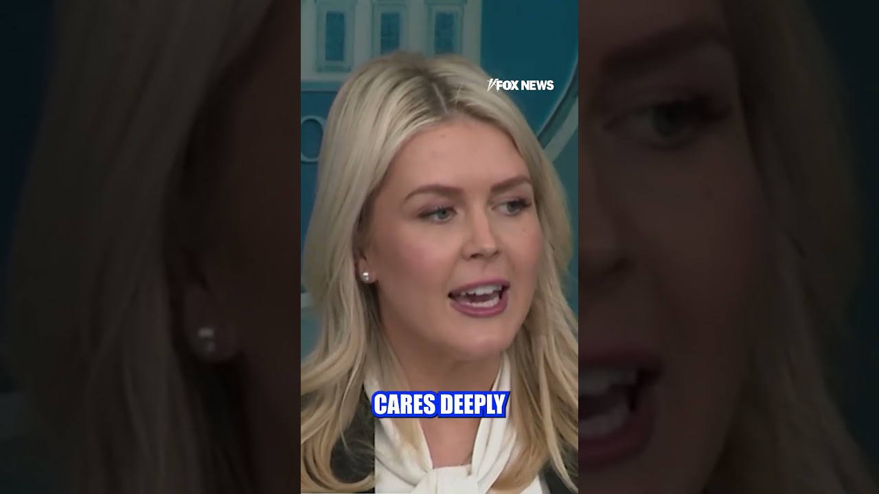 CALLED OUT: Karoline Leavitt decries CNN for 'disingenuous' coverage #shorts #usa #us #foxnews