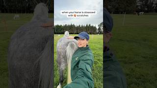 Ive Made A Big Mistake..