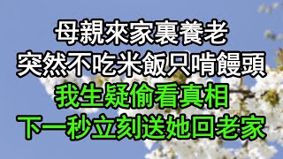 母親來家裏養老,突然不吃米飯只啃饅頭,我生疑偷看真相,下一秒立刻送她回老家,竟然……#深夜淺讀 #為人處世 #生活經驗 #情感故事