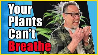 Fix THIS Before You Add CO₂, New Lights, or More Nutrients to Your Grow