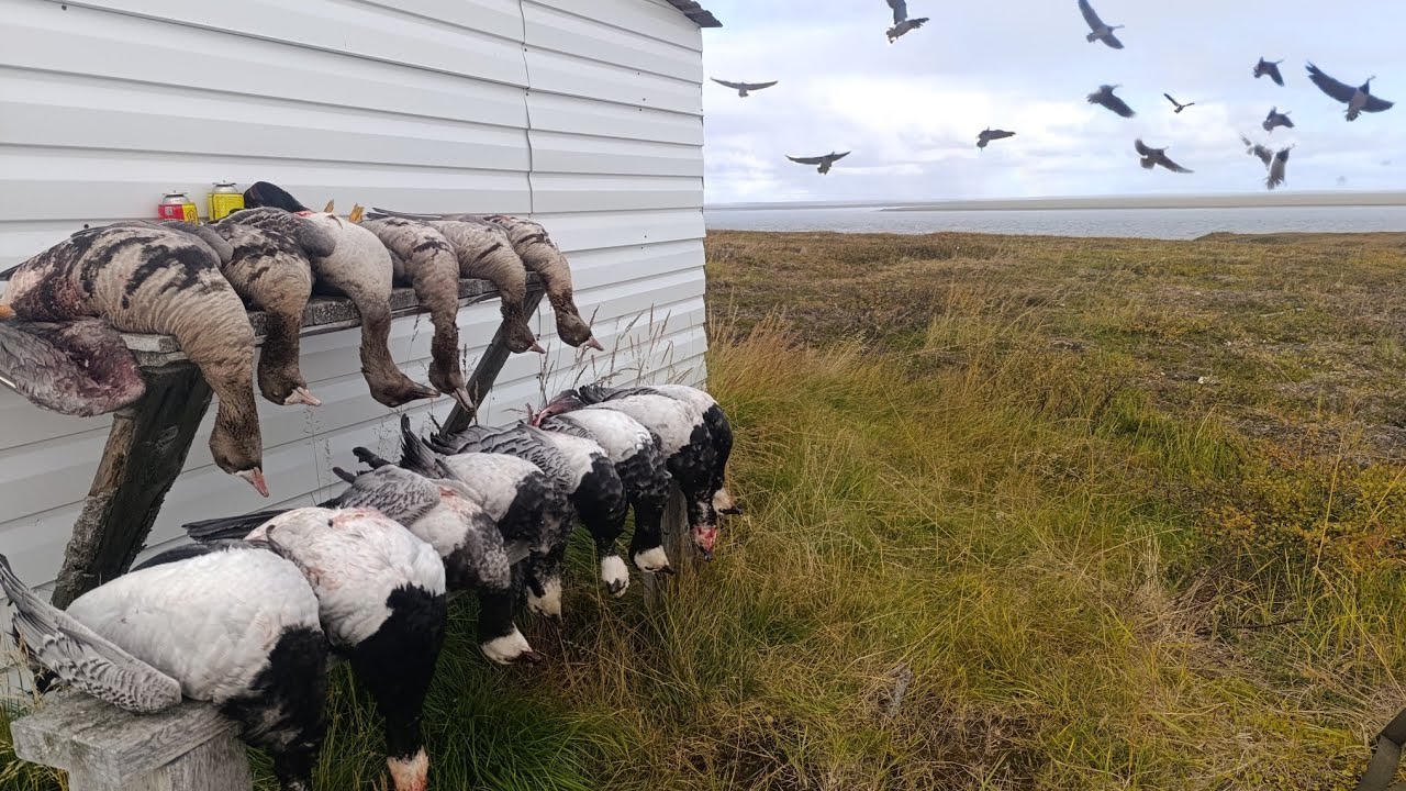 ЖИВУ В ИЗБЕ И ОХОЧУСЬ НА ГУСЯ!! ДА ГРЯНУЛ ШТОРМ! ОСЕННЯЯ ОХОТА НА ГУСЯ 2025!