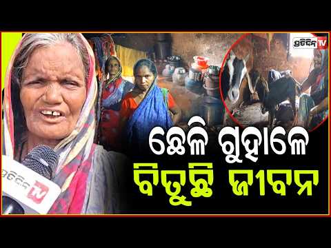 ଛେଳି ଗୁହାଳେ ବିତୁଛି ଜୀବନ,ସରକାରଙ୍କ ମାଳ ମାଳ ଯୋଜନା, ହେଲେ ବାସ୍ତବ ଚିତ୍ର ଭିନ୍ନ! dhenkanal news