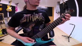 Anaal Nathrakh - The One Thing Needful - Guitarcover