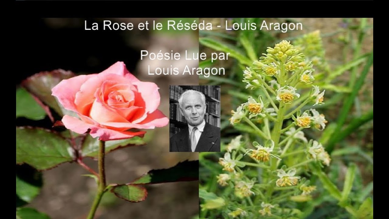 Poésie (Lue par Louis Aragon) - «La Rose et le Réséda», Louis Aragon ...