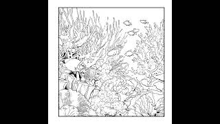Coral reef. Coloring book.