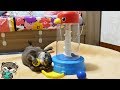知育玩具をカワウソのビンゴに試してみたら・・(Otter Bingo first try on developmental toy)