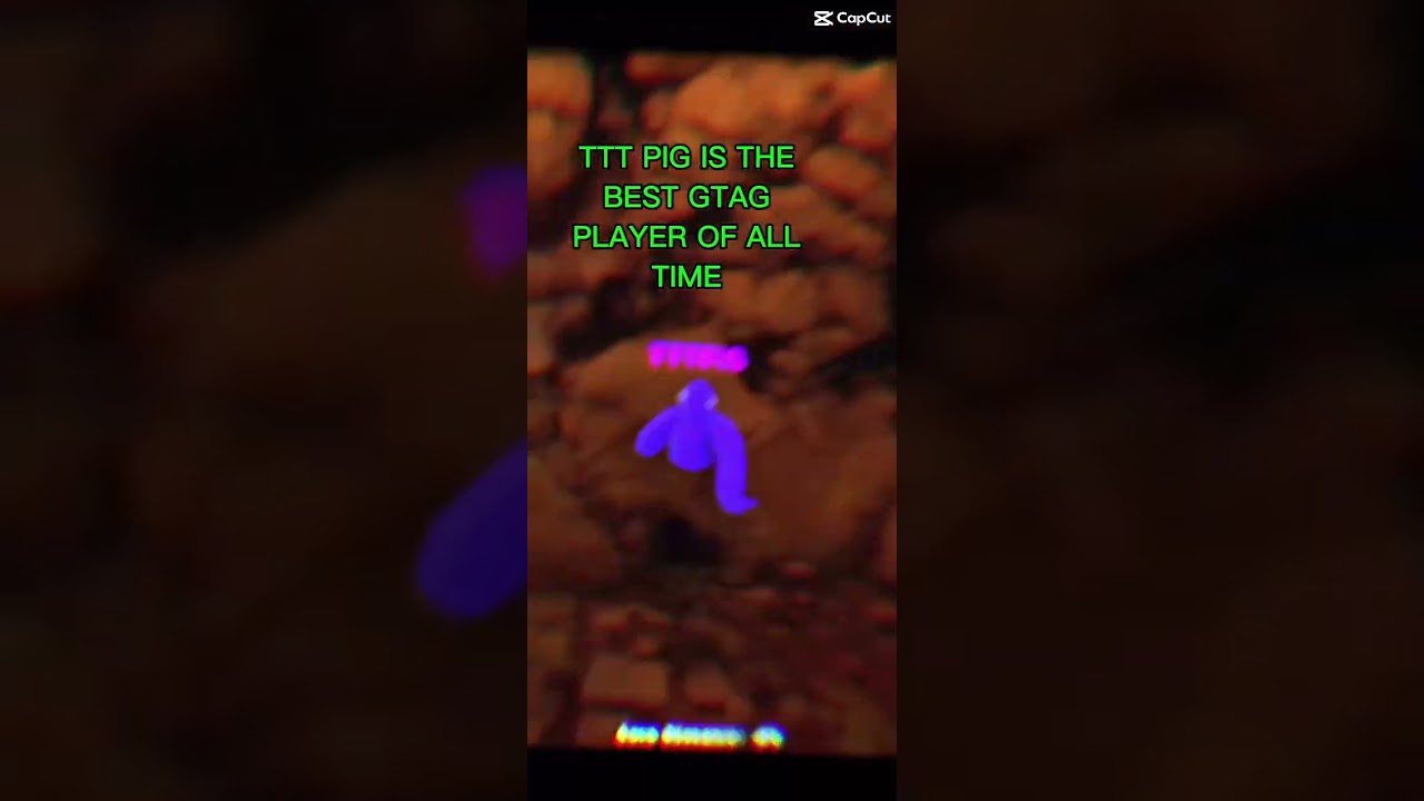 Which is better h4kpy or TTT PIG 