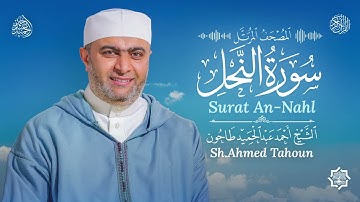 سورة النحل / القارئ أحمد عبدالحميد طاحون /المصحف المرتل من الصلاة 1447ه/ Surat An-Nahl /AhmedTahoun 