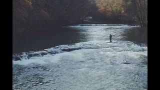 Georgia's Top 10 Fishing Spots