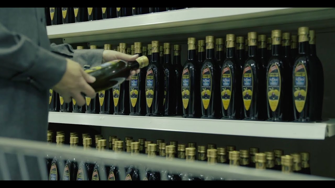 تعرف على رحلة إنتاج أحد أفضل زيوت الزيتون في العالم