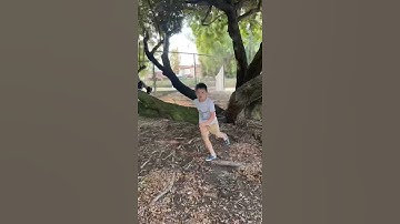 Kids need to climb trees! #getoutside #play #getsome