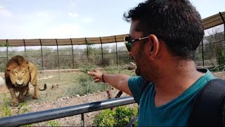 पहली बार इतने करीब से देखा।। jaipur biological park।। jaipur zoo