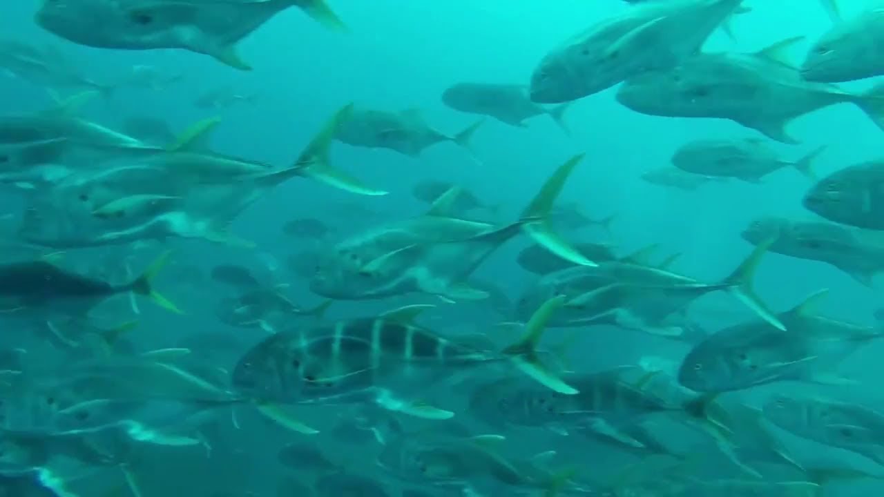 Neptune's Finger, Cabo San Lucas marine protected area
