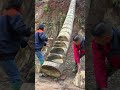 Artisan Carves Mountain Ladder