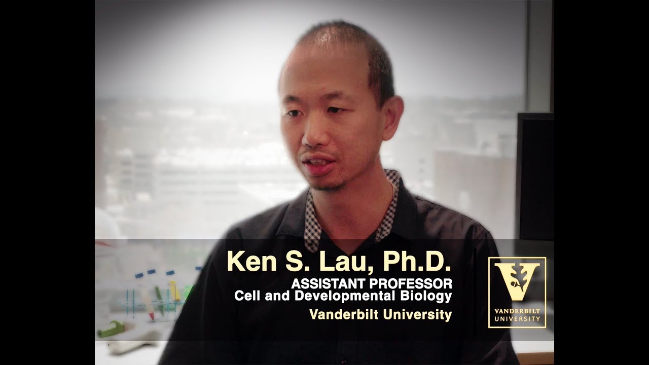 Ken Lau Research Overview - Colon Cancer & Crohn's Disease - YouTube