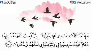 وَإِذَا سَأَلَكَ عِبَادِي عَنِّي فَإِنِّي قَرِيبٌ بصوت القارئ أحمد عبدالناصر