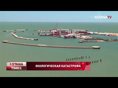 Экологическая катастрофа, грозящая Каспийскому морю, неизбежна, - экологи