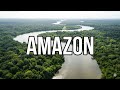 The Amazon River The Heart Of The World And The Secrets Hidden In The Jungle