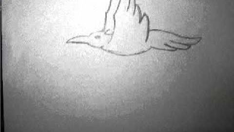 my first light box animation.avi