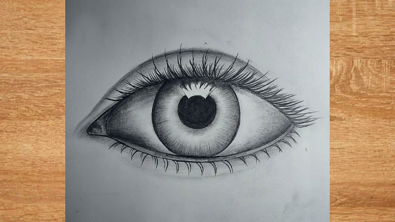 How to draw a realistic Eye step by step pencil sketch and shading ...