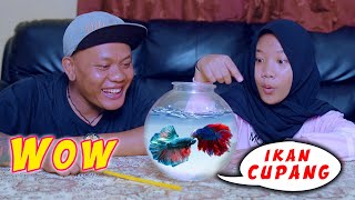 Drama | Dinda Juara Lomba Ikan Cupang