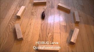HEXBUG Larva