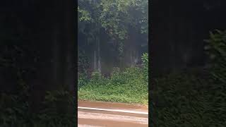 Puerto Piray, puente banana misiones El dorado. cerrado por crecida del arroyo piray guazu