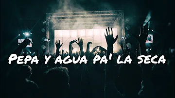 Farruko - Pepas ( Letra / Lyrics )