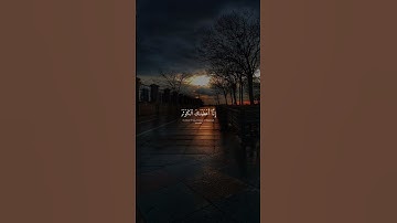 سورة الكوثر | القارئ عبدالرحمن مسعد 🎧💙