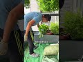 Transforming a corner of the balcony into a garden #SpaceDesign #gardendesign #garden #plants