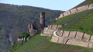 Castle Neighborhood Along the Rhine