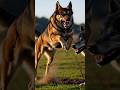 kutte ki wafadari se hara jungli bhediya /dog /wolf #ai #shorts#story #shortvideo #animals #cartoon