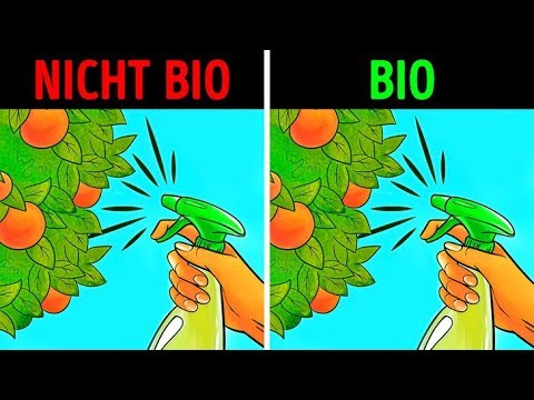 Wie steige ich in die Verarbeitung von Bio-Produkten ein?