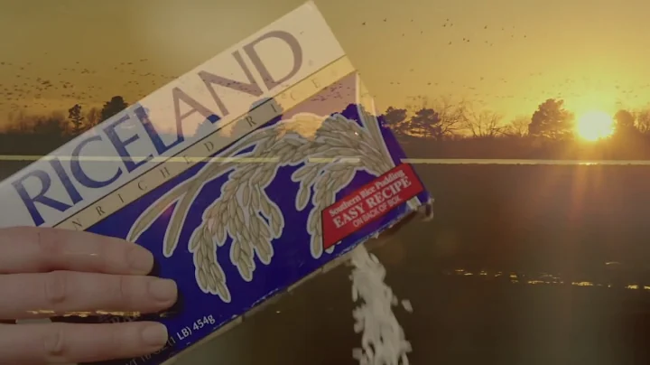 Field to Film: Career Snapshots | Agriculture Atto...