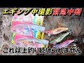 新作エギ王サーチのレビュー中にまさかの事態に！エギング撮影を中断するしかありませんでした。
