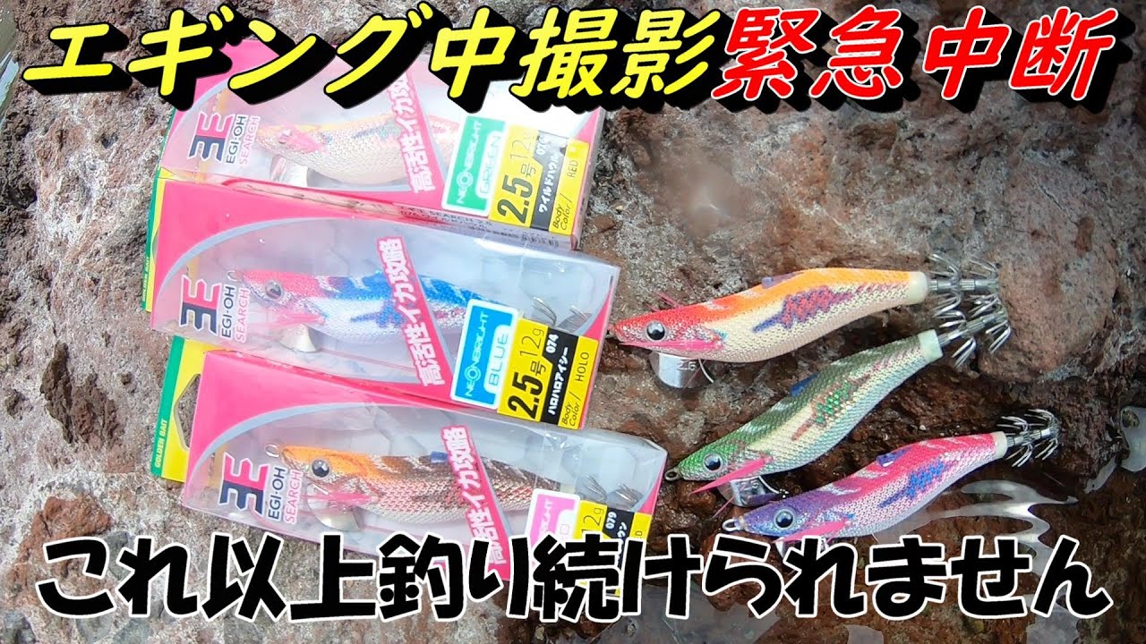 新作エギ王サーチのレビュー中にまさかの事態に！エギング撮影を中断