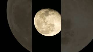 شاهد سطح القمر مع اقوي زووم في العالم Nikon Coolpix p1000 #shorts #photography #moon
