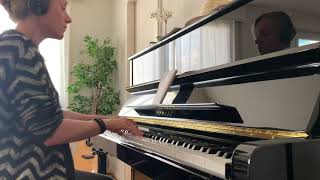 Video thumbnail of "Michel Berger - La groupie du pianiste (Piano Cover)"