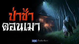 ผีสามเกลอ ป่าช้าดอนเมา (รีรันจบในตอน) | ล้อมวง เล่าเรื่องผี ฟังยาวๆ