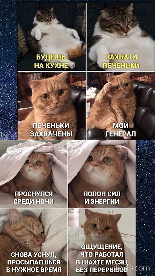 #мем - YouTube