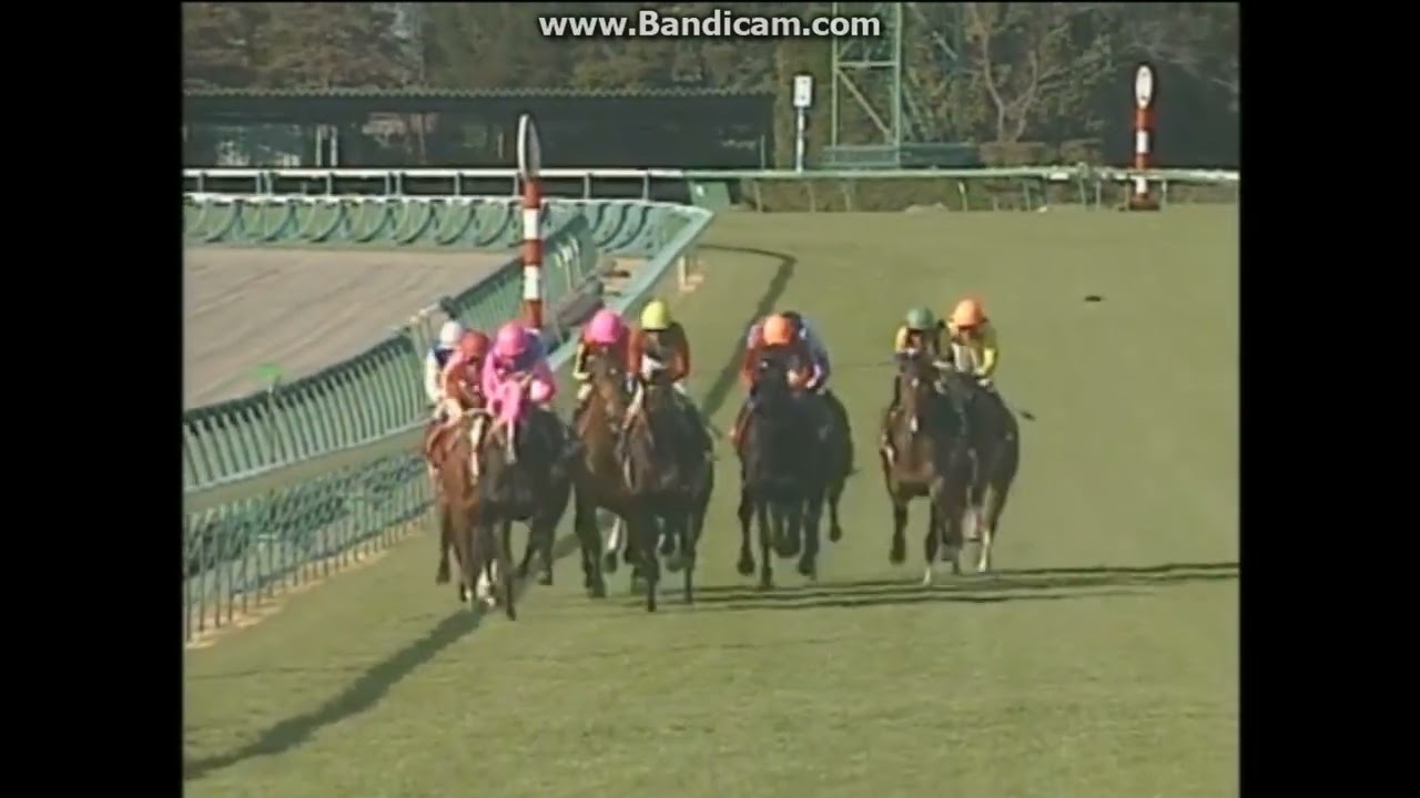 2004 報知杯弥生賞(GII) コスモバルク - YouTube